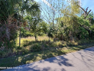 2637 Myrtle Ave, Mims, FL 32754
