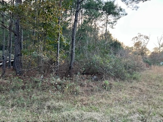 0 Smoak Rd Unit 24030217, Walterboro, SC 29488