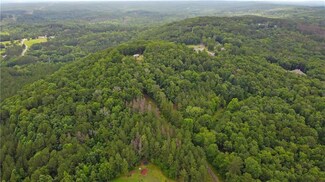 1845 Tibbitts Rd, Dallas, GA 30132