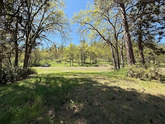 0 Coopers Hawk Unit Lot 875 220201664, Klamath Falls, OR 97601