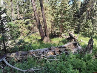 477 Rim Rd, Cimarron, CO 81220