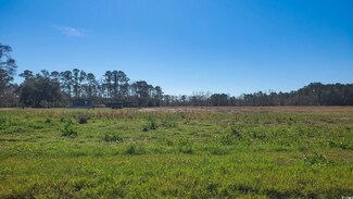 TBD 6 S Carolina 366 Unit Lot 6, Conway, SC 29526