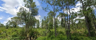 3312 69th St W, Lehigh Acres, FL 33971