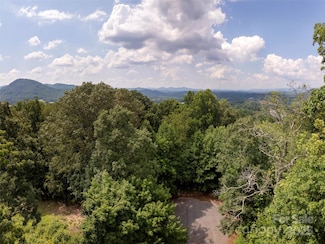 61 Arabella Ln, Avery Creek, NC 28704