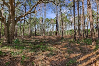2290 Hunters Loop S, Hardeeville, SC 29927