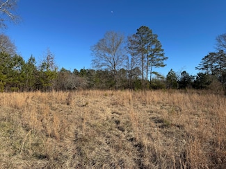 964 S Carolina 39, Newberry, SC 29108
