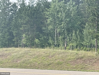 xxx County Rd 11, Breezy Point, MN 56472