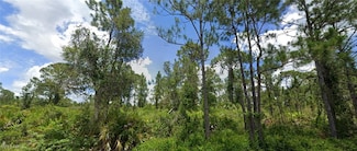 3312 69th St W, Lehigh Acres, FL 33971