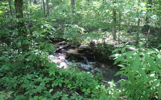 0 Emery Creek Rd Unit 310854, Chatsworth, GA 30705