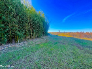 0 Darbun China Grove Rd Unit 4132615, Sandy Hook, MS 39478