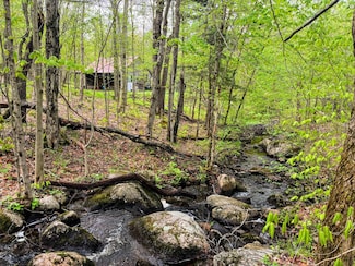 off La Plante Rd, Star Lake, NY 13690