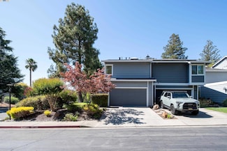 498 Via Royal, Walnut Creek, CA 94597
