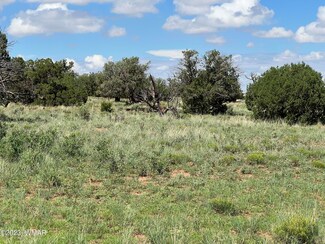 0 N9033, Concho, AZ 85924
