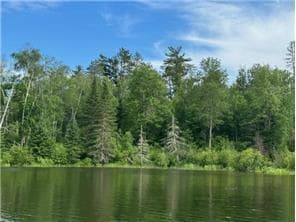 TBD S Thunder Lake Rd, Remer, MN 56672