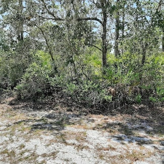 211 Camellia Dr, Lake Wales, FL 33855