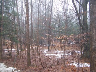 8 acres Heath Rd, Colden, NY 14033