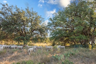 7554 Us-87, Eden, TX 76837