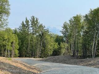 L4 B1 N Sandburg Dr, North Lakes, AK 99654