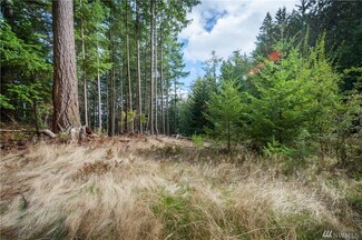 1164 Scenic Ave, Lummi Island, WA 98262