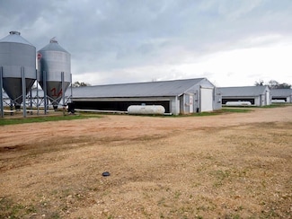 335 Blackwell Rd, Mendenhall, MS 39114