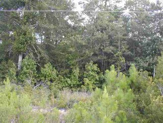 000 Georgetown Hwy, Andrews, SC 29510