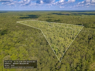 XX Mount Beasor Rd, Sopchoppy, FL 32358
