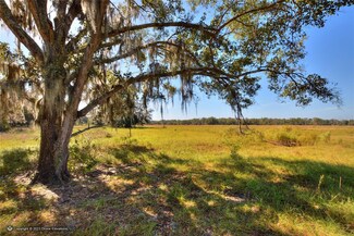 0 State Road 674 Unit MFRT3489365, Lithia, FL 33547