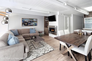 803 E Durant Ave Unit 7, Aspen, CO 81611