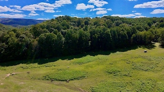 TBD Conover Ln, Atkins, VA 24311