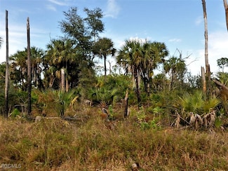 LOT 5 Mansfield Cir, North Port, FL 34288