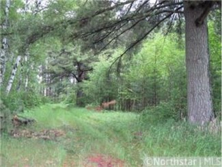 TBD 32nd Ave, Pine River, MN 56474