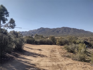 37400 Tripp Flat Rd, Anza, CA 92539