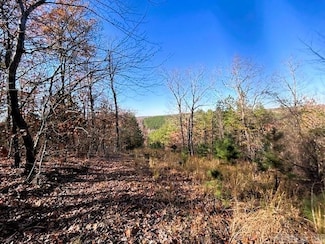 0 Bear Mountain Rd, Higden, AR 72067