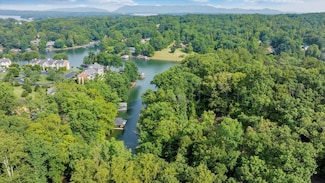 Lot 1 Windlass Rd, Moneta, VA 24121