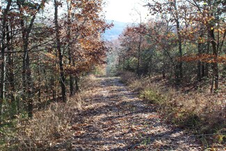 001-04907-000 Kingdom Springs Rd, Flippin, AR 72634