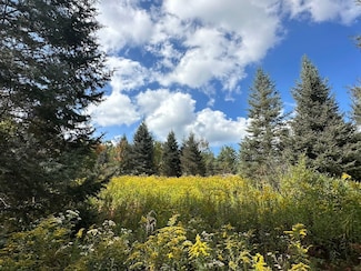 Vl Unit McAndrews Road LotWP, Andover, NY 14806