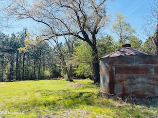 2145 Beesley Rd, Lucedale, MS 39452