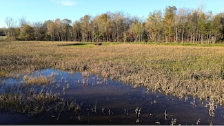 129 Tom White Rd, Big Sandy, TN 38221