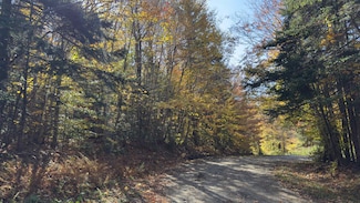 15 Running Sap Ln, Dover, VT 05356