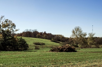 Tract 7 E 425th Rd, Fair Play, MO 65649