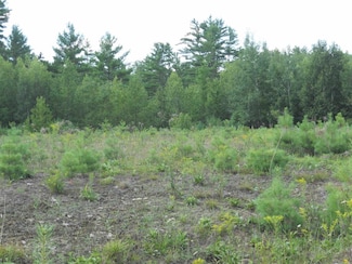 19 River View Rd, Newport, NH 03773