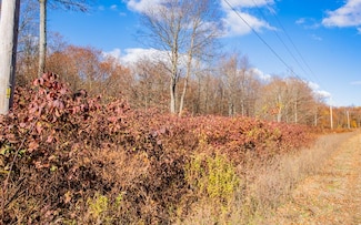 Parc 030 Glory Ridge Rd, Fox Township, PA 17768