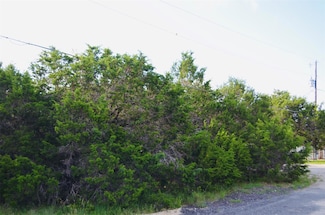 419 Thunderhead Dr, Spring Branch, TX 78070