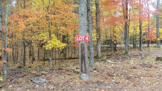LOT 4 Anchor Inn Rd, La Follette, WI 54893
