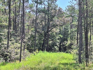 6851 Private Road 8235, Buna, TX 77612