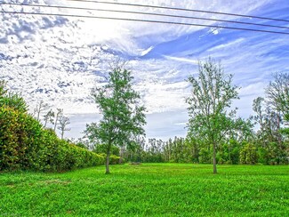 15171 Shamrock Dr, Fort Myers, FL 33912