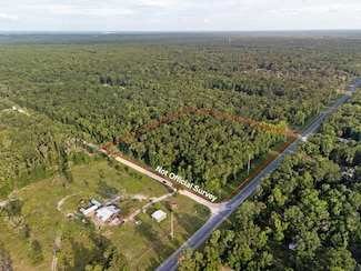 TBD NE 349 Hwy, Old Town, FL 32680