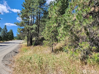 0 Lot 1 Klondike Rd, Republic, WA 99166