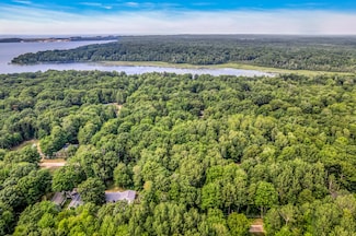 0 Linden Rd, Hamlin Township, MI 49431