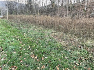 Tbd Greenbrook Cir, Unicoi, TN 37692